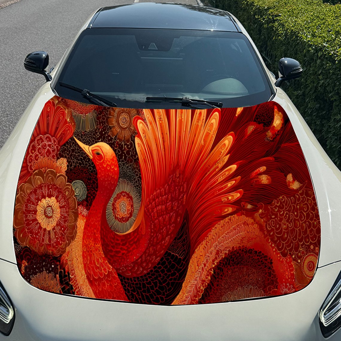 Naklejka na maskę samochodu z  – Car Accessories Phoenix recenzja i cena